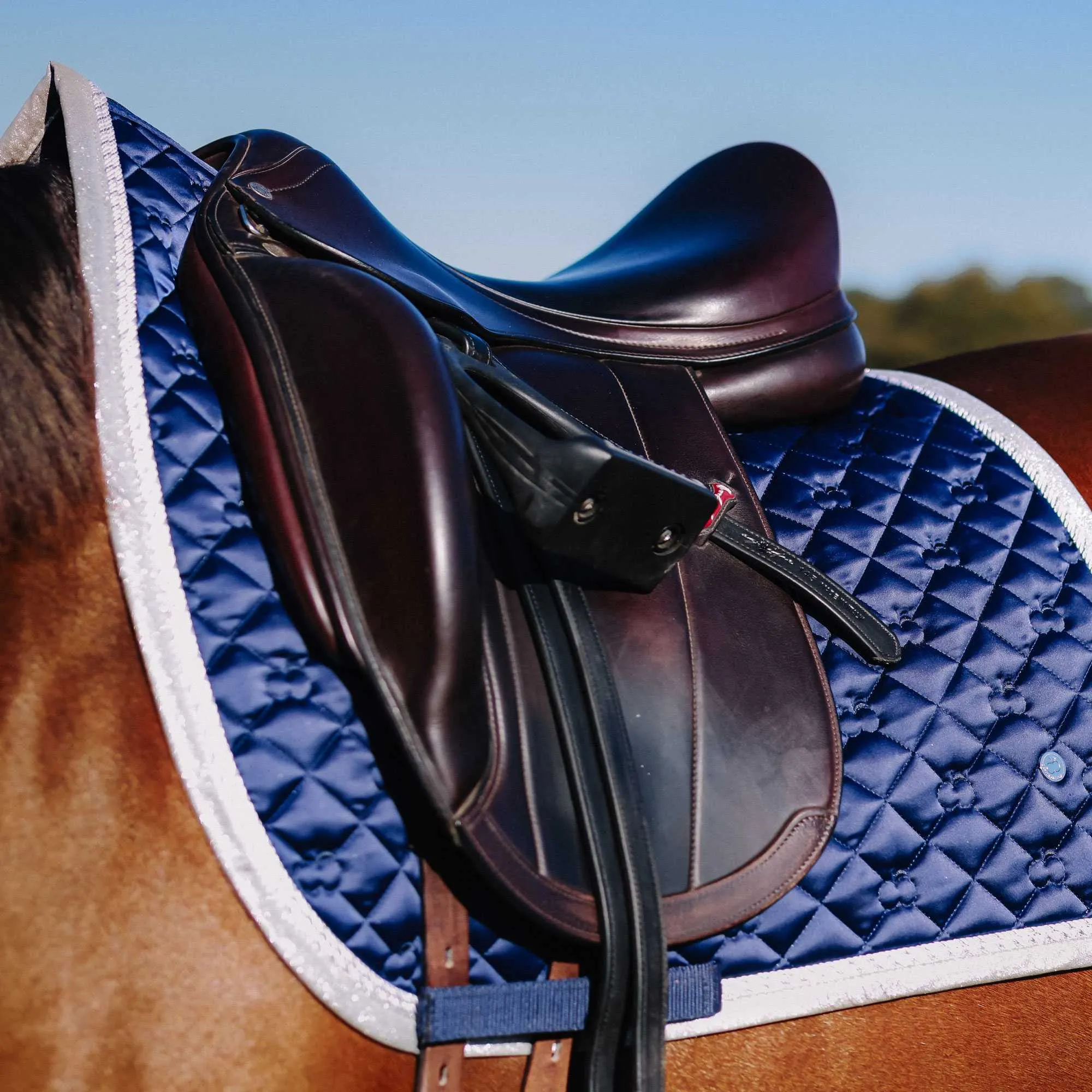 Dapplebay  Sport Dressage Saddle Pad - Midnight Sparkle Blue