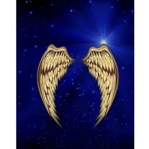 Golden Angel Wings Printed Backdrop