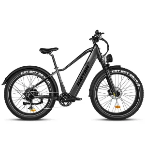 Rattan Pathfinder Step-Over Fat Tire Electric Bike