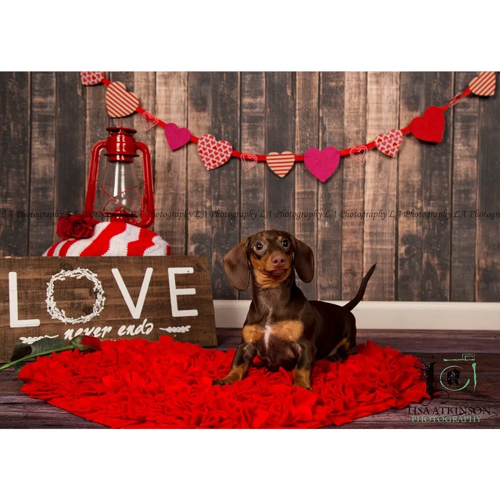 Worn Brown Planks Printed Backdrop